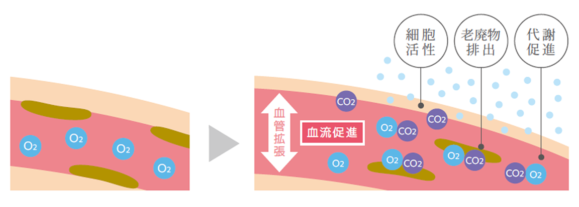高濃度炭酸による肌と血管の変化